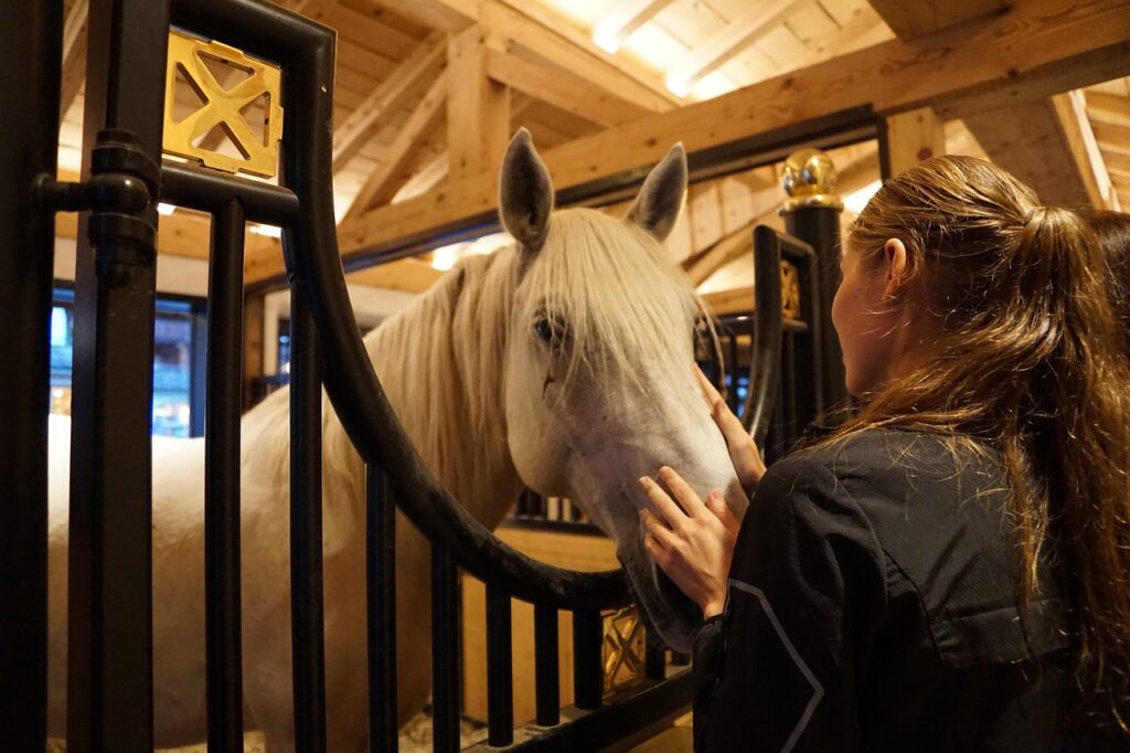 prendersi cura di un cavallo