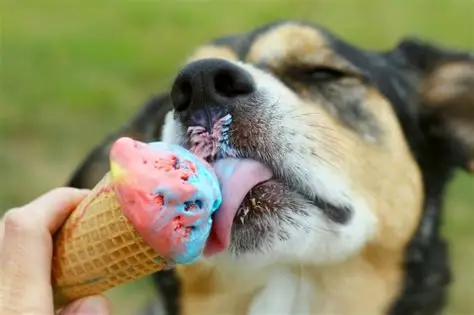 ricetta gelato per cani