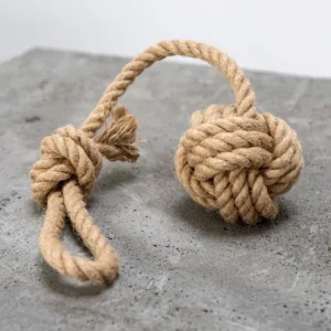 laboni fionda a palla