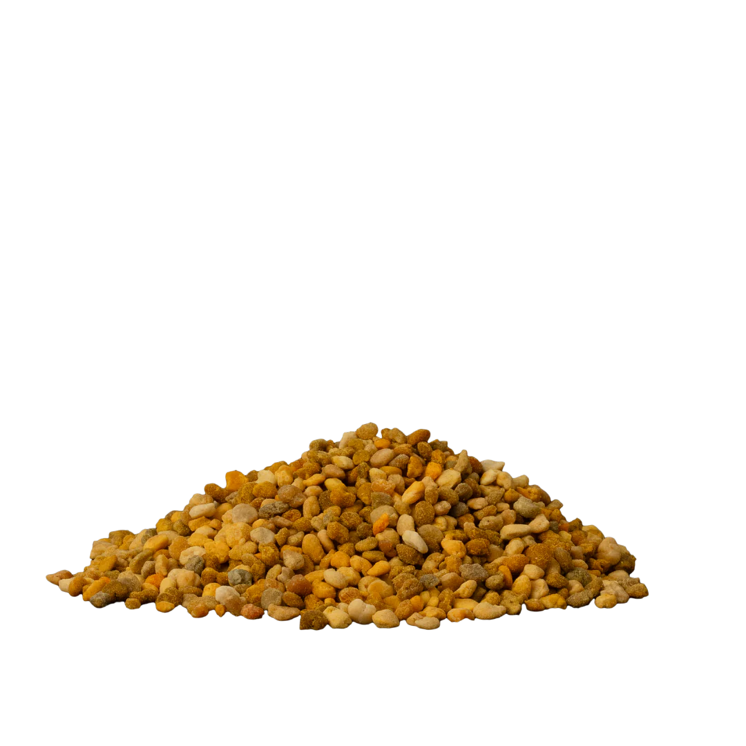 Bee Magic con Propoli e Miele per Cani – Cooka’s Cookies - immagine 2