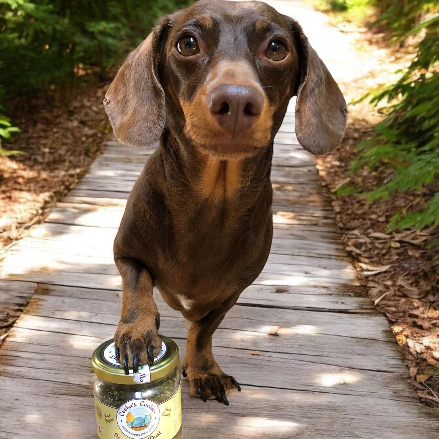 Tooth Fairy per Igiene Dentale e Alito Fresco cani – Cooka’s Cookies - immagine 4
