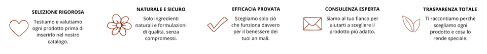 SELEZIONE RIGOROSA (1)