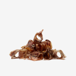 trachea di bovino